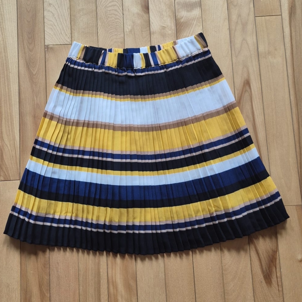 The NEW Boutique Vibrant Striped Pleated Skirt